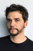 photo Wagner Moura (voz)