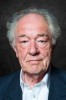 photo Michael Gambon