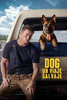 poster Dog - Un viaje salvaje