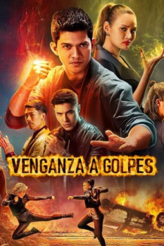 poster Venganza a golpes