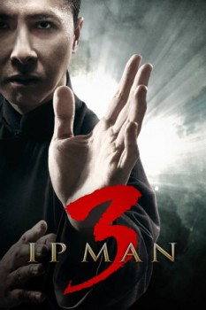 poster Ip Man 3