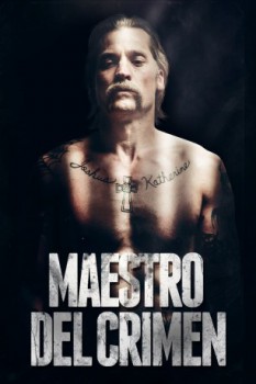 poster Mestro del crimen