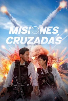 poster Misiones cruzadas  (2024)