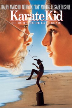 poster Karate Kid  (1984)