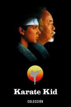 poster Karate Kid - Coleccin