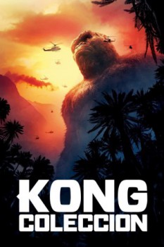 poster Kong - Coleccin