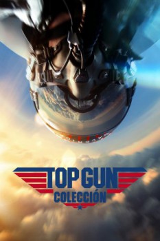 poster Top Gun - Coleccin